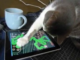 Dalla pappa all’iPad per gatti: il caso Friskies Dalla pappa all’iPad per gatti: il caso Friskies